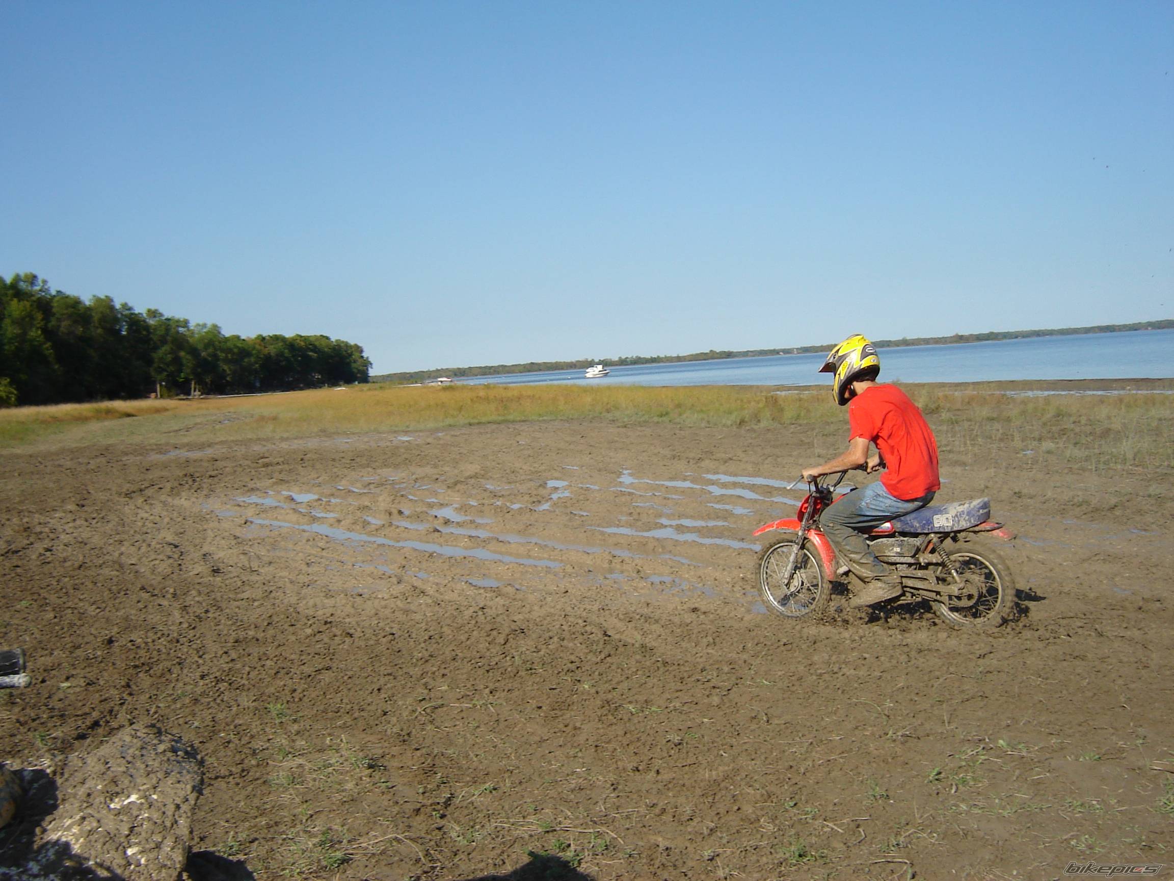 Photo 433743