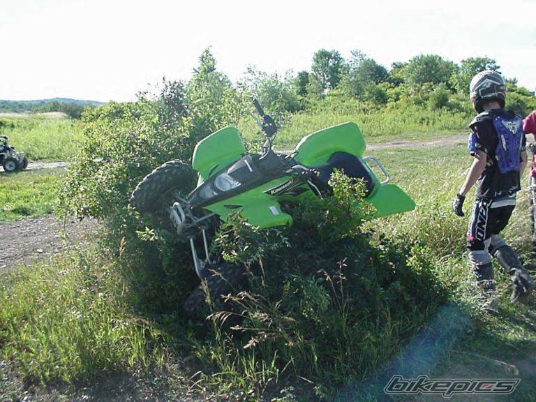 Photo 433758