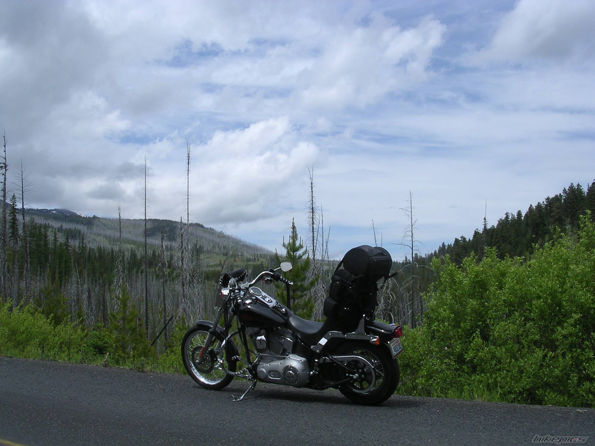 Photo 433798