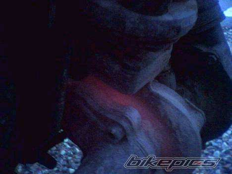 Photo 433906