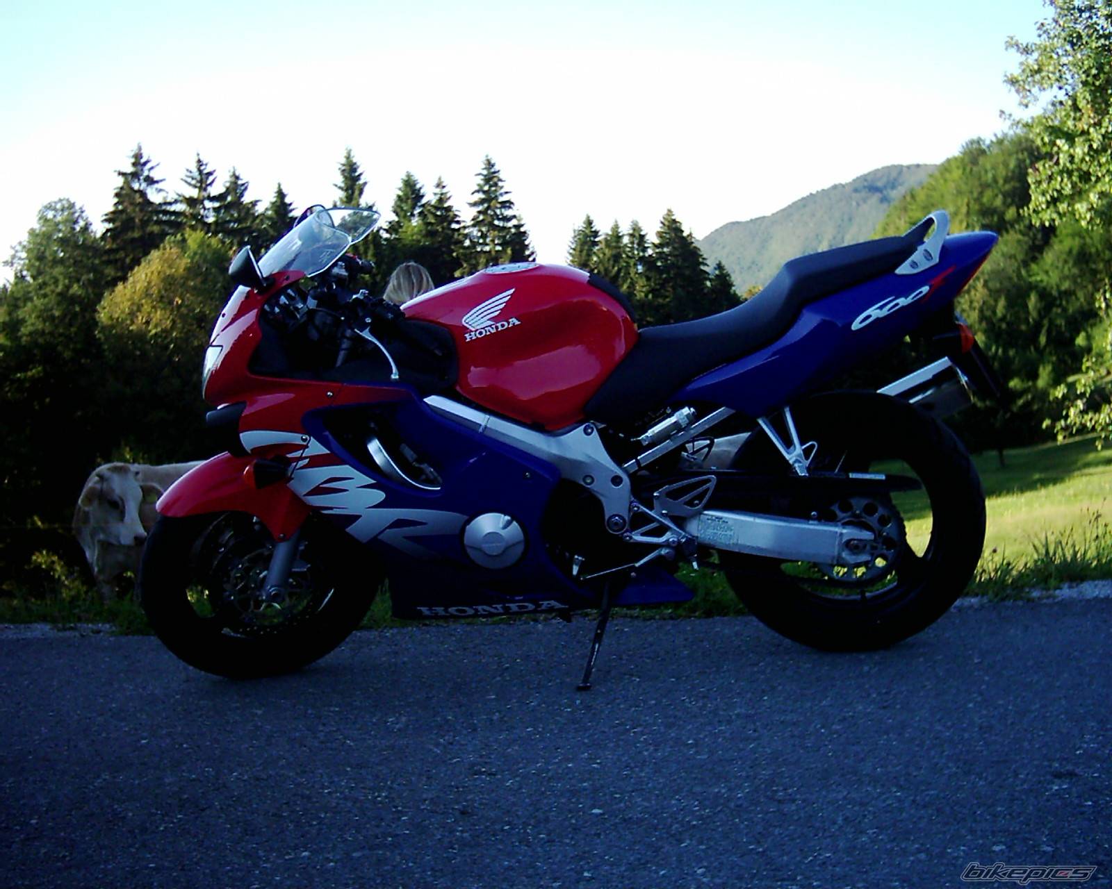 Photo 434002