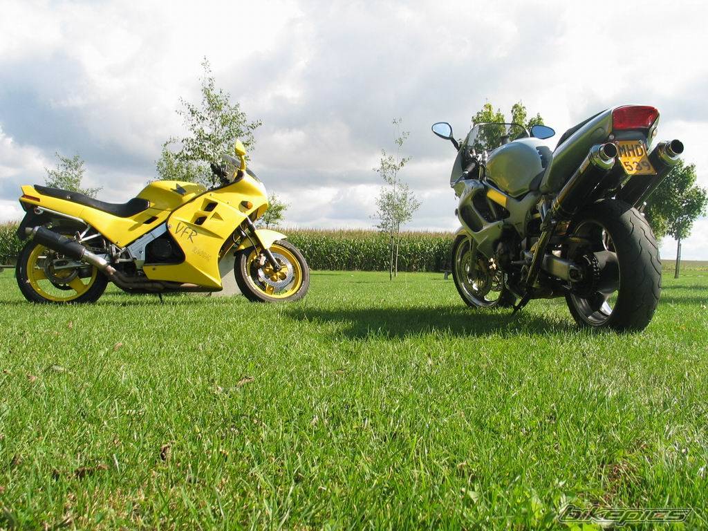 Photo 434299