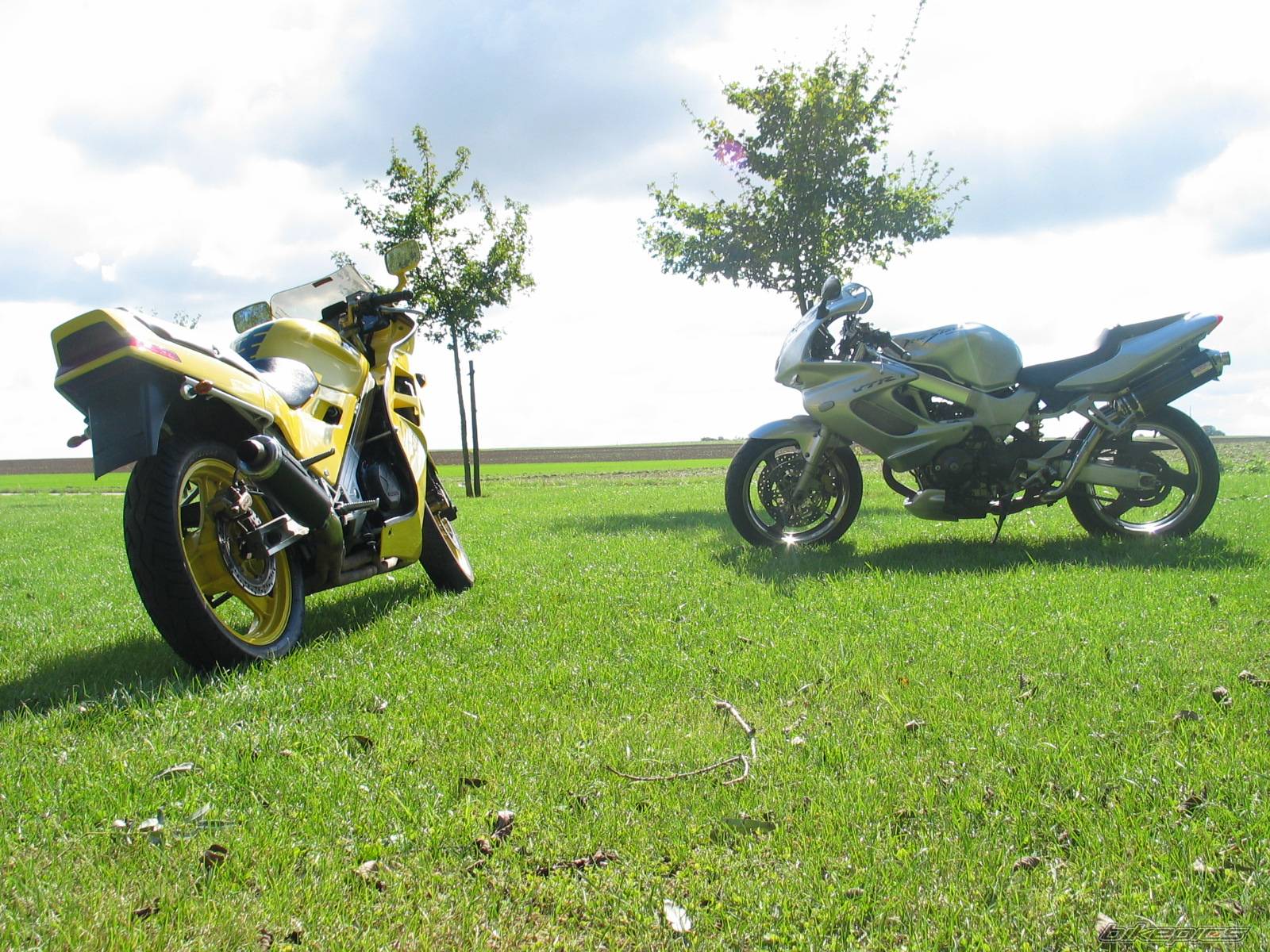 Photo 434302