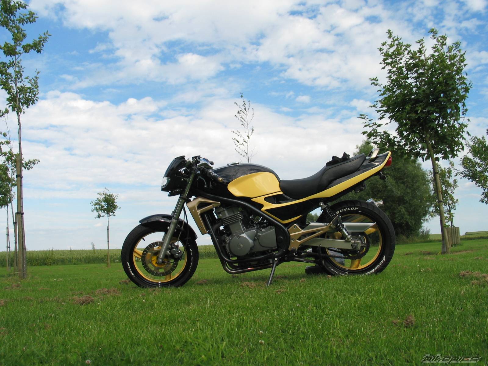 Bike Photo 434317