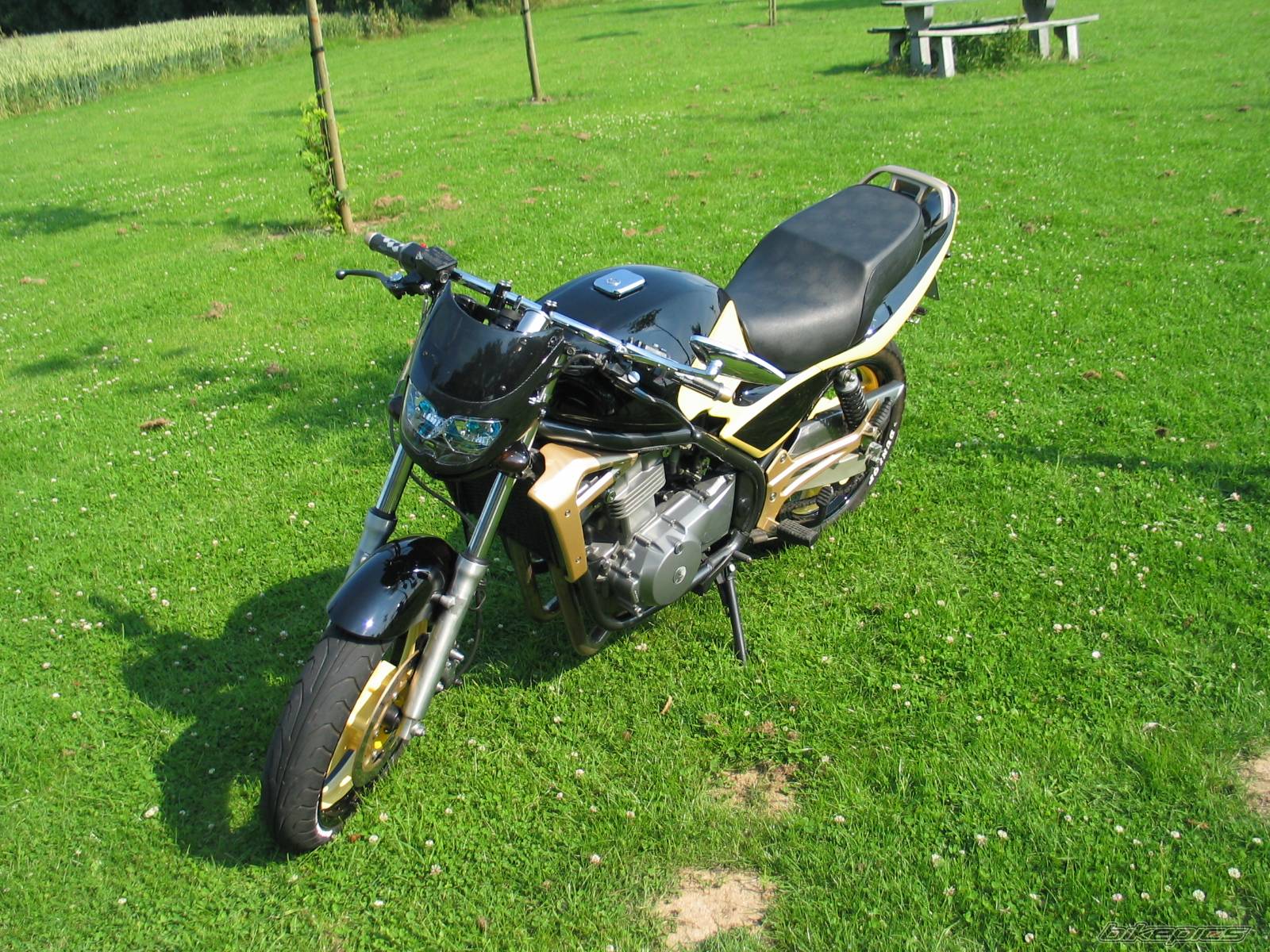 Photo 434327