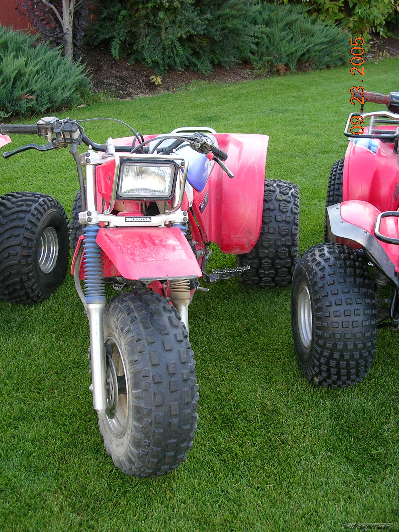 Bike Photo 434328