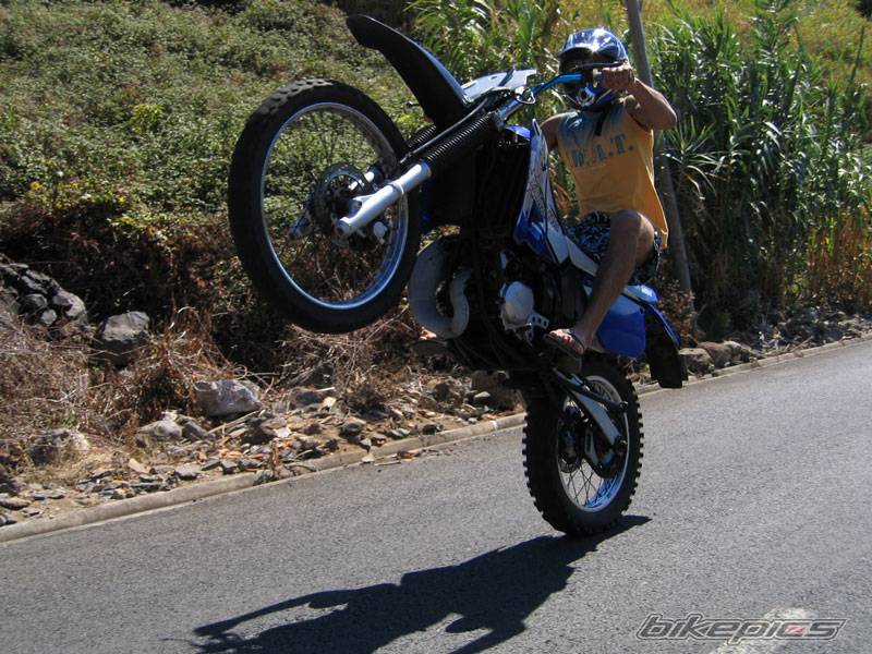 Photo 434596