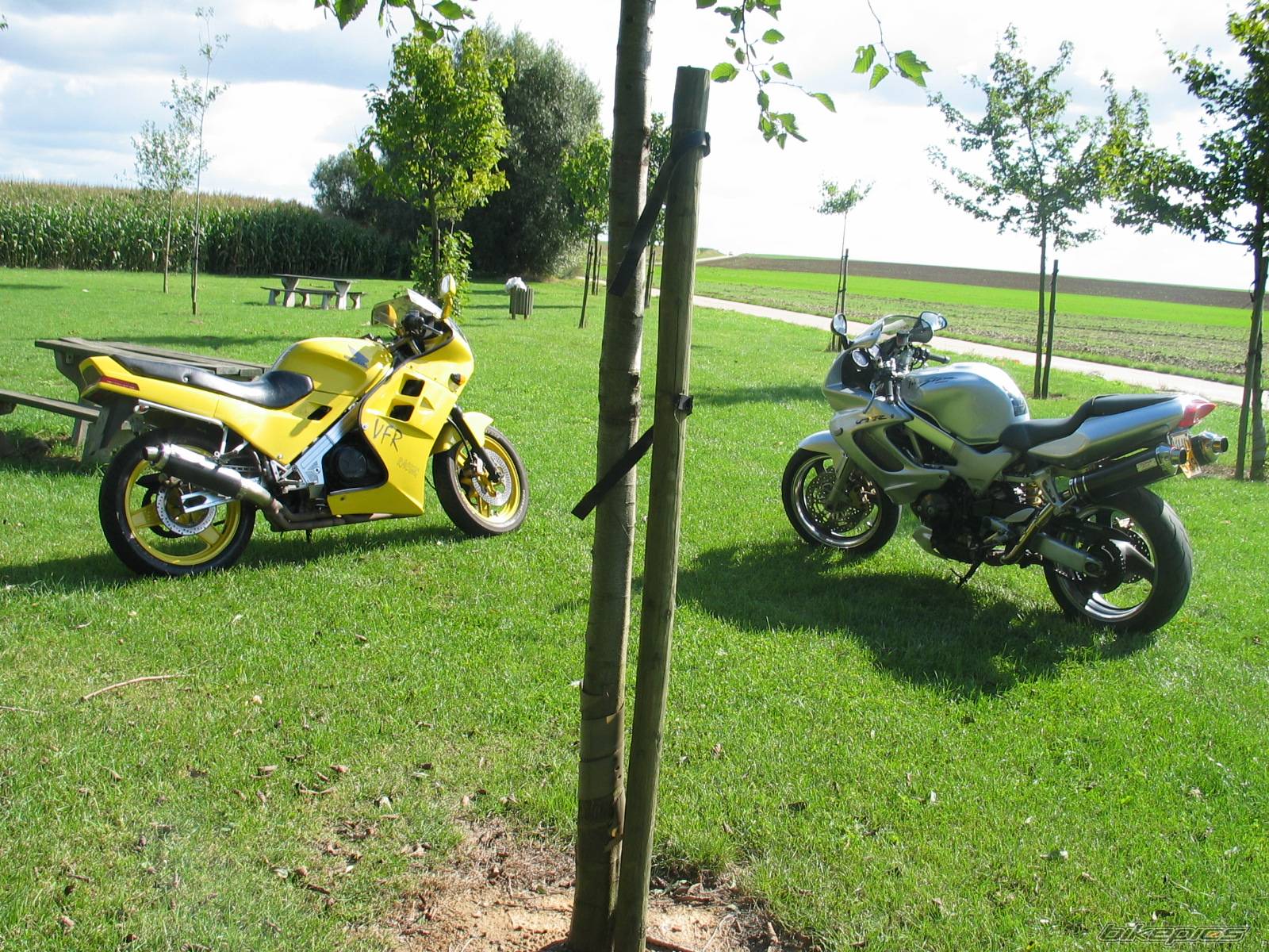 Photo 435025