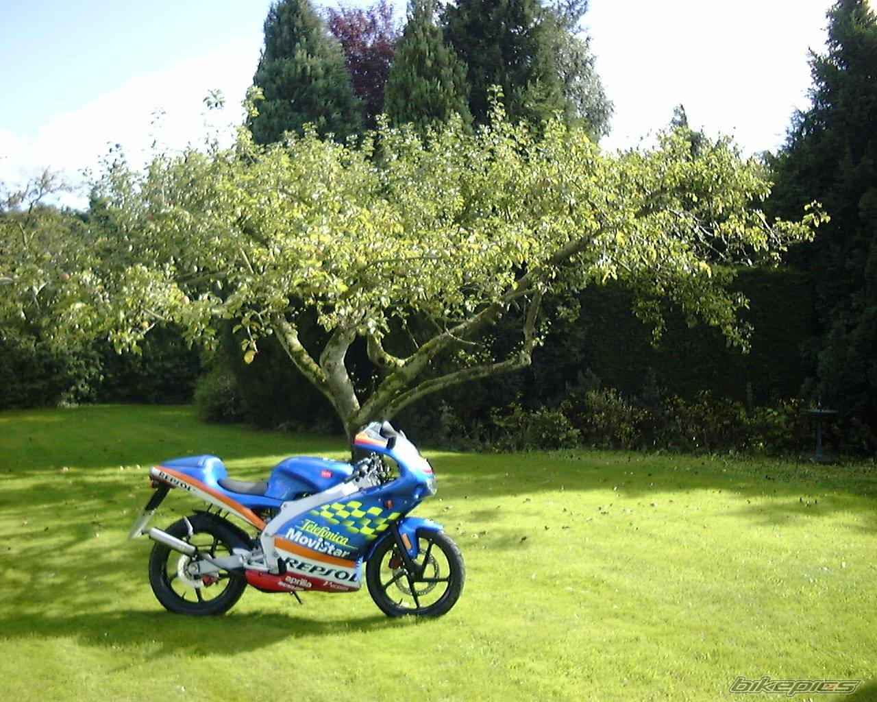 Photo 435143