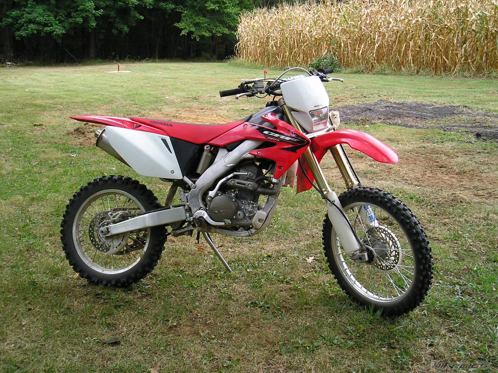Bike Photo 435150