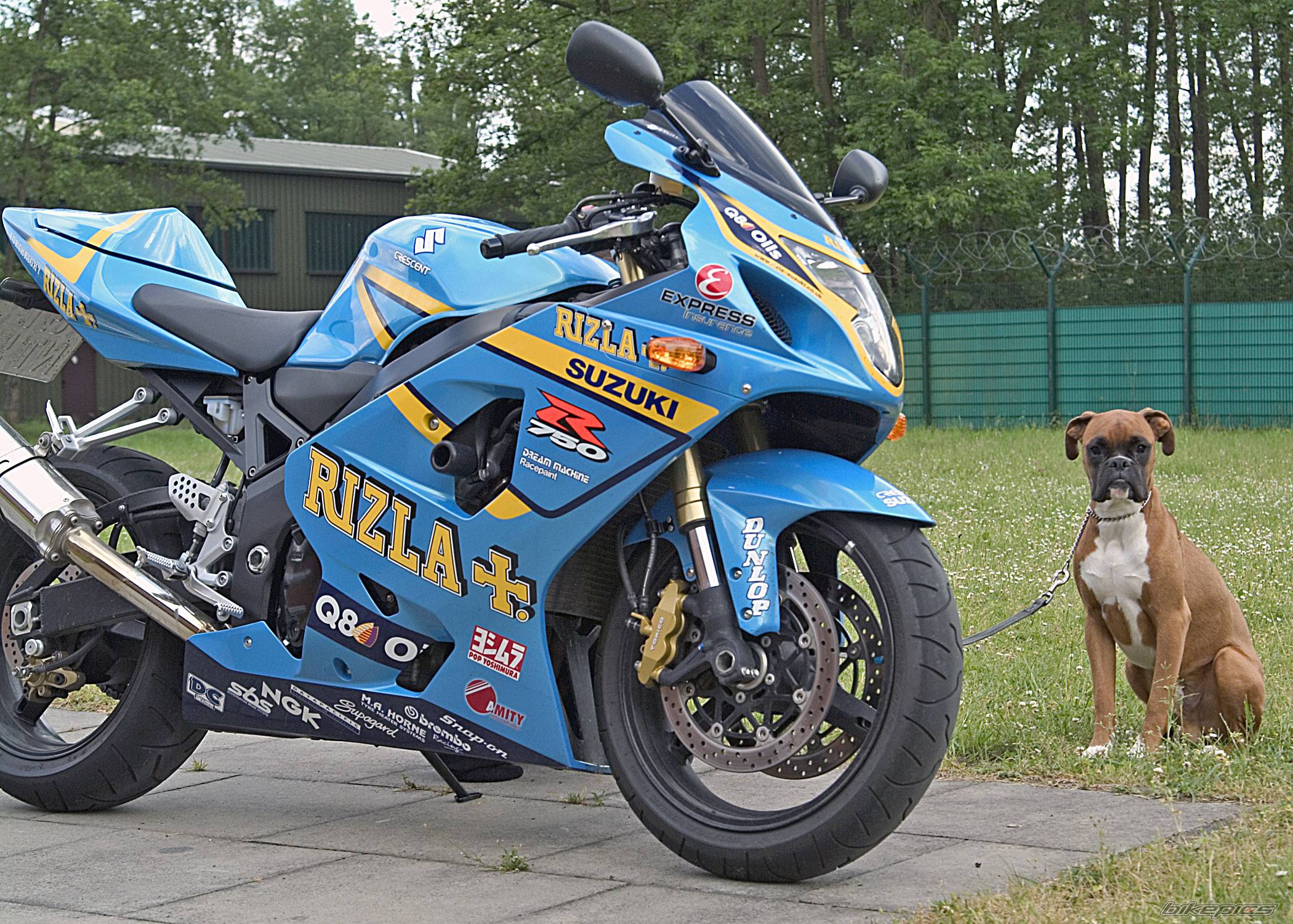 Bike Photo 435224
