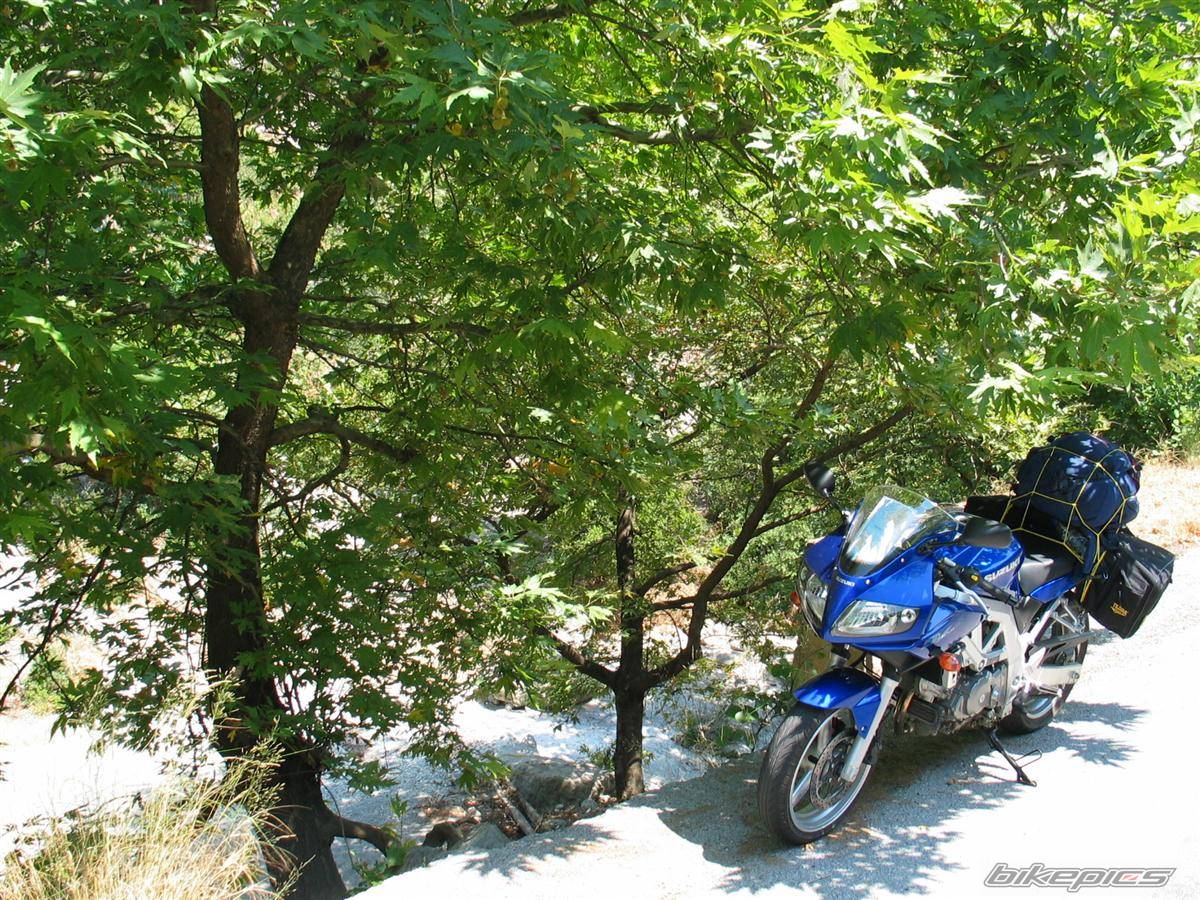 Bike Photo 435282
