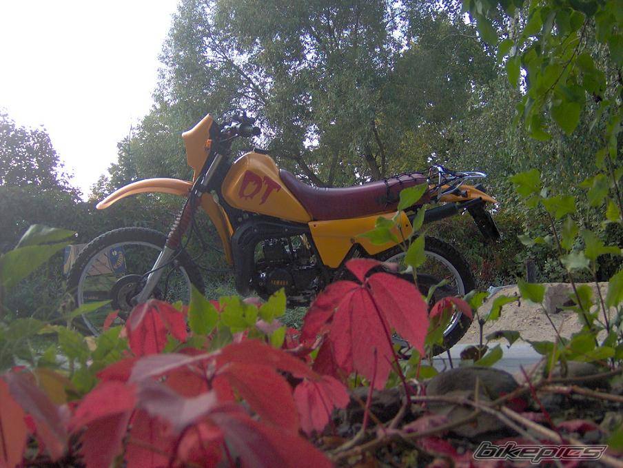 Bike Photo 435357