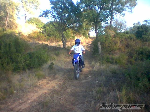 Bike Photo 435383