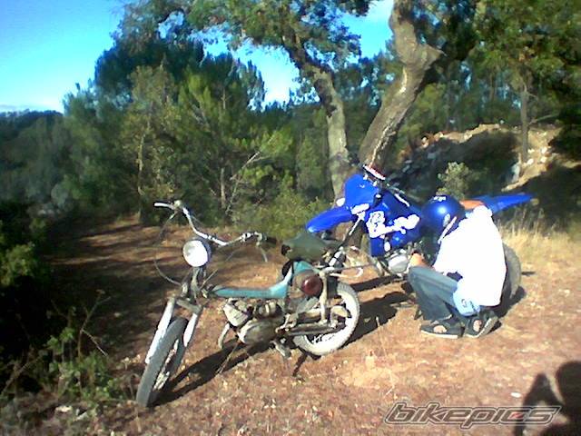 Bike Photo 435385