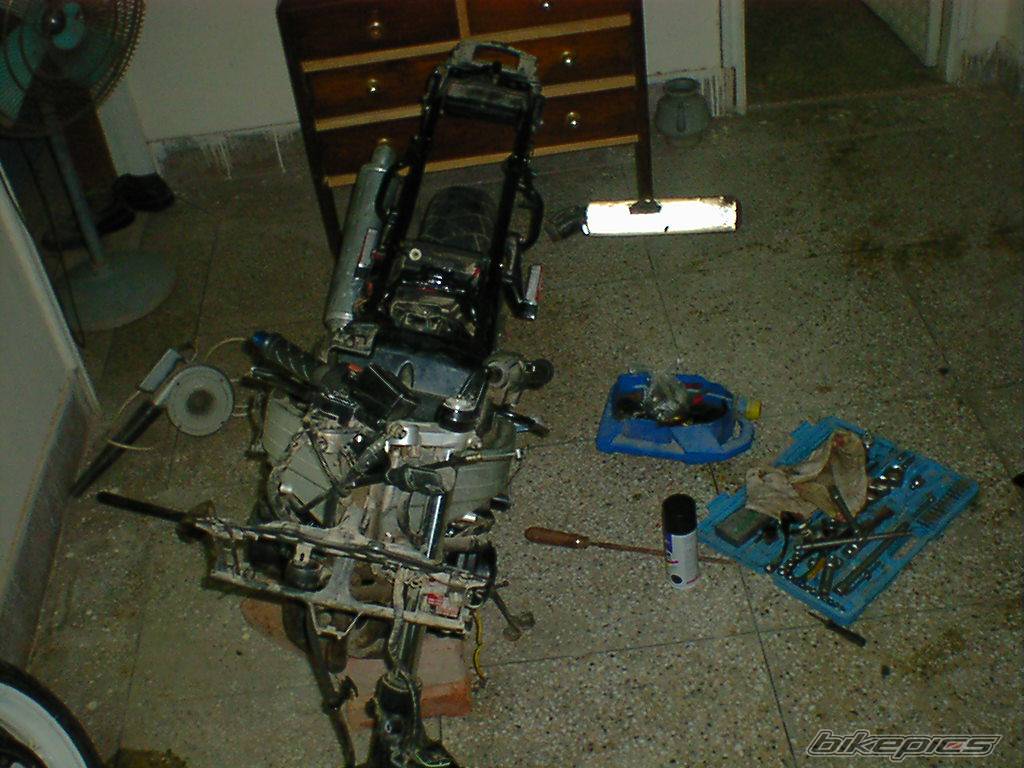 Bike Photo 435539