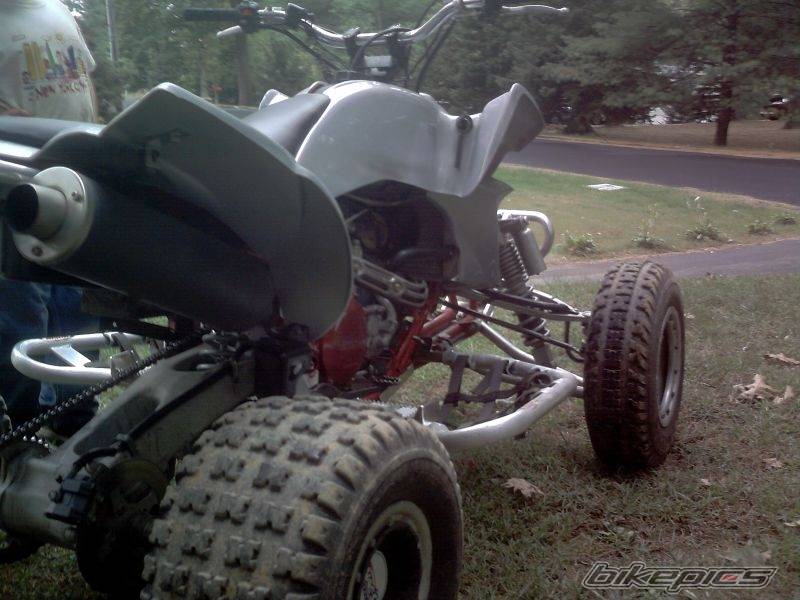 Photo 435654