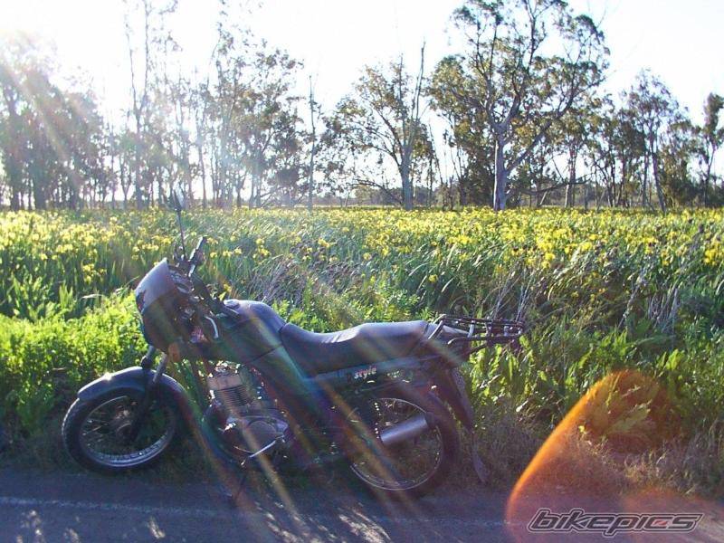 Bike Photo 435719