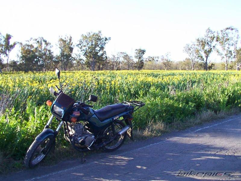 Bike Photo 435720