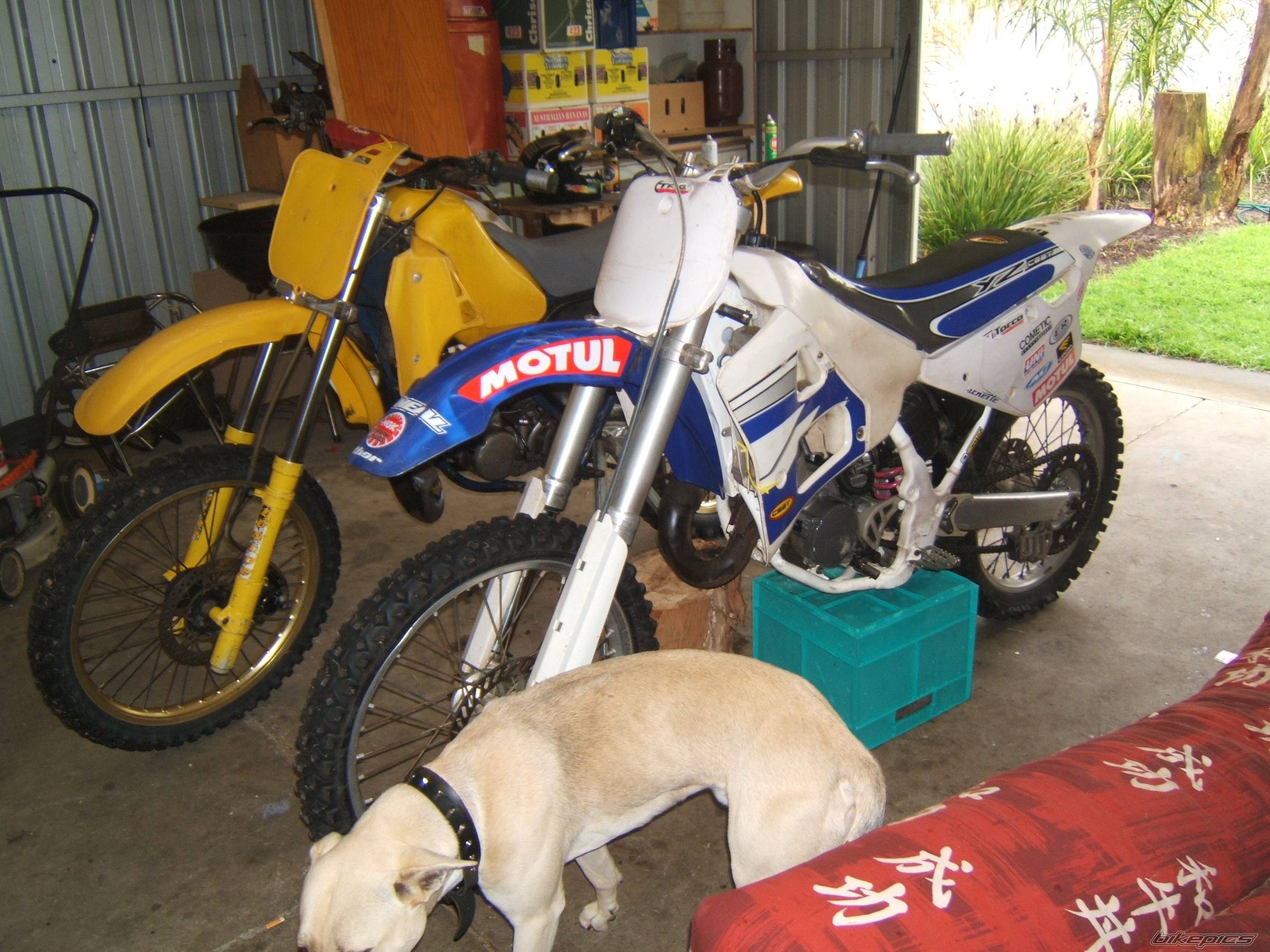 Bike Photo 435807