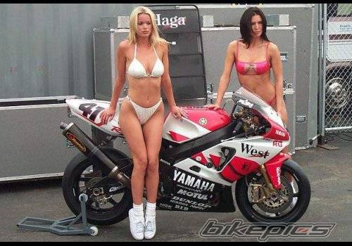 Bike Photo 43581