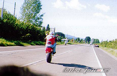 Photo 4362