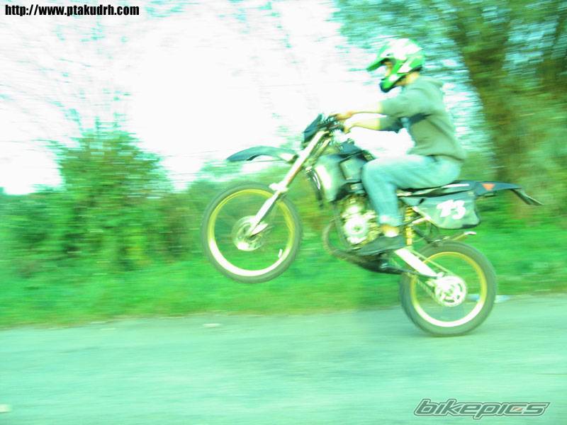 Photo 436356