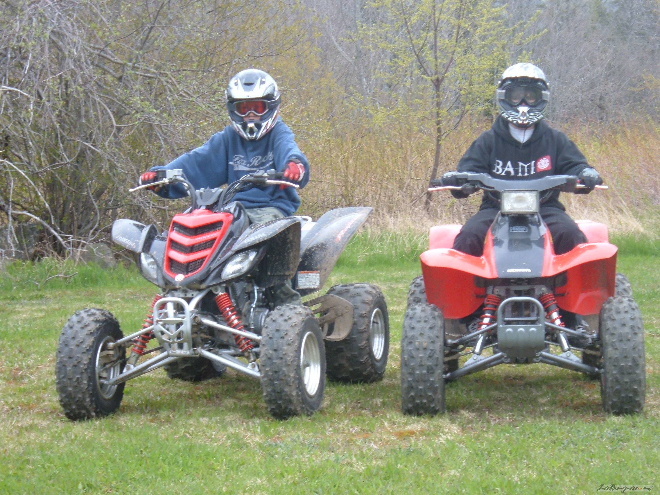 Photo 437248