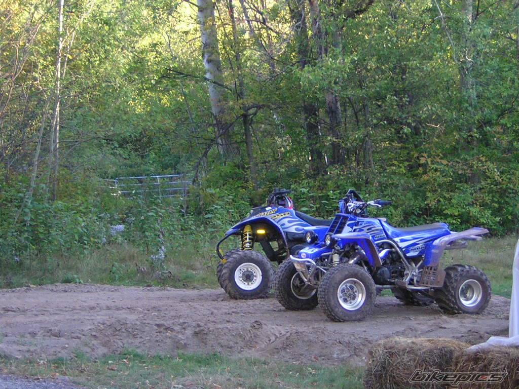 Photo 437274