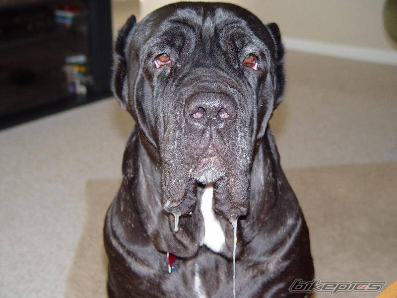 Photo 43728