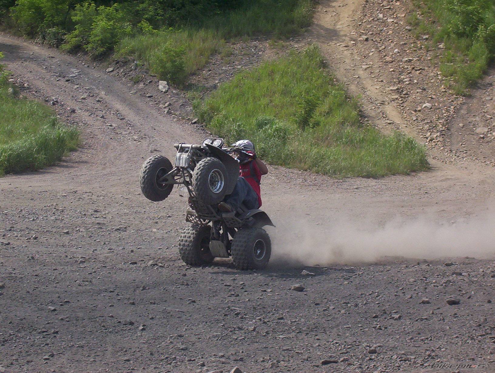 Photo 437281