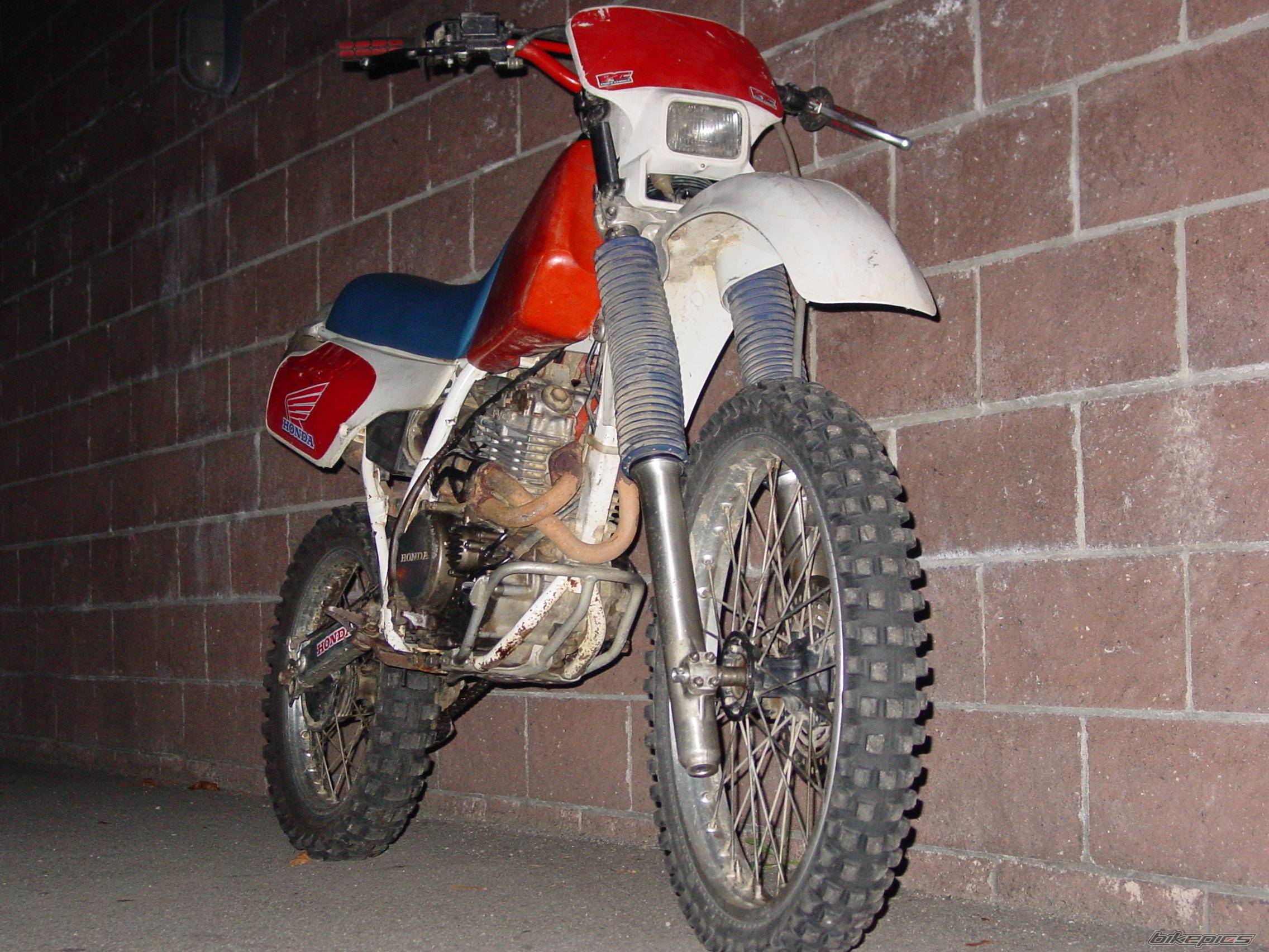 Photo 43742