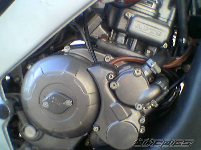Photo 437448