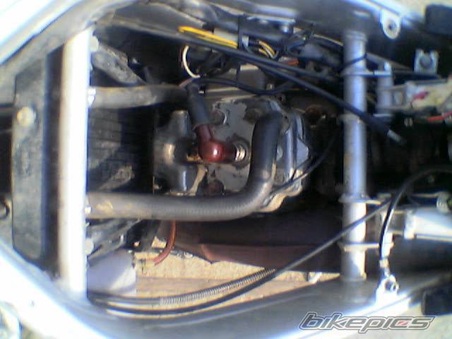 Photo 437451