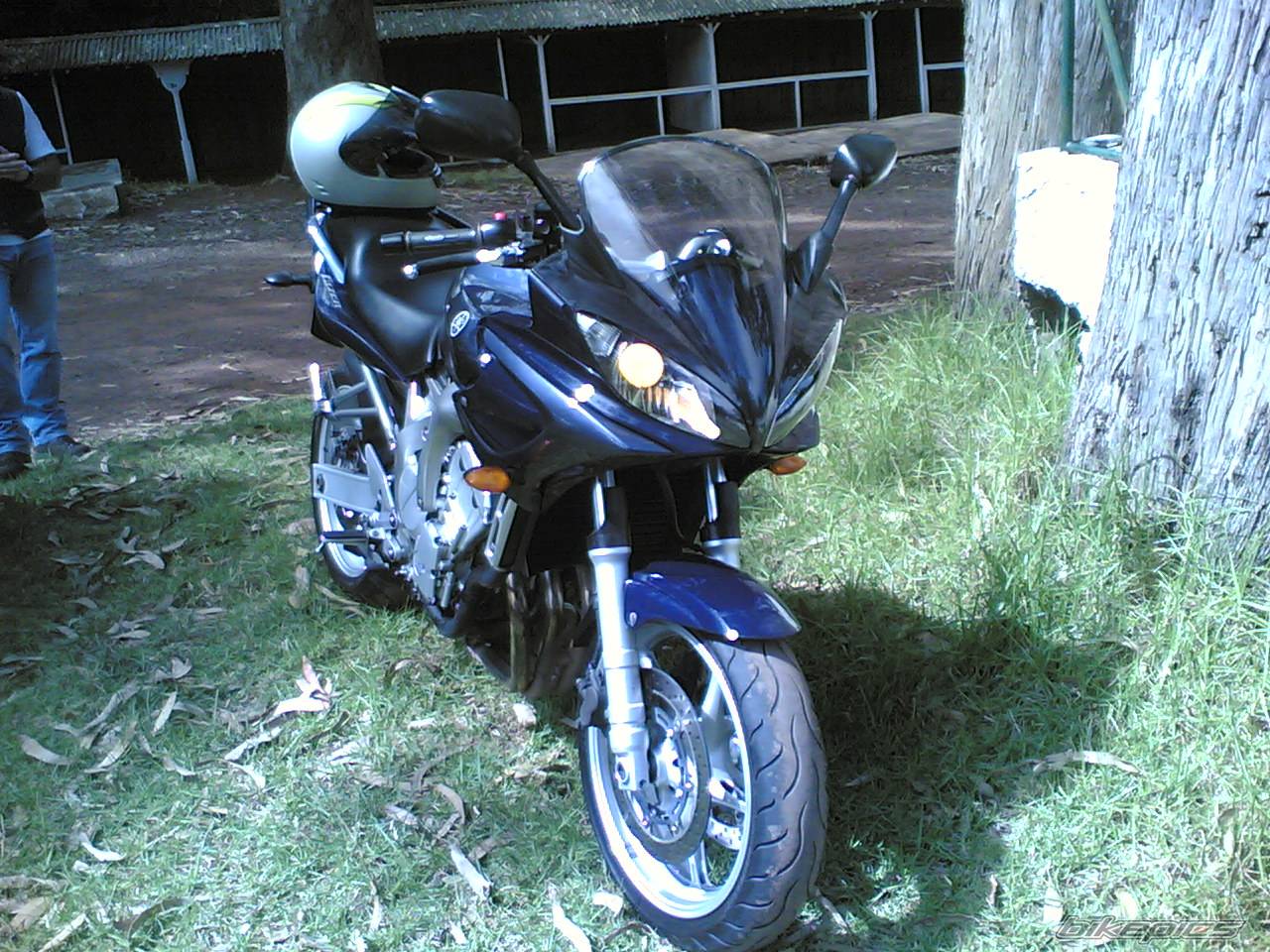 Photo 437557