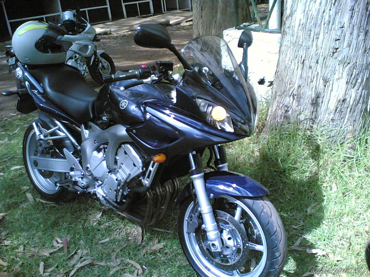 Photo 437558