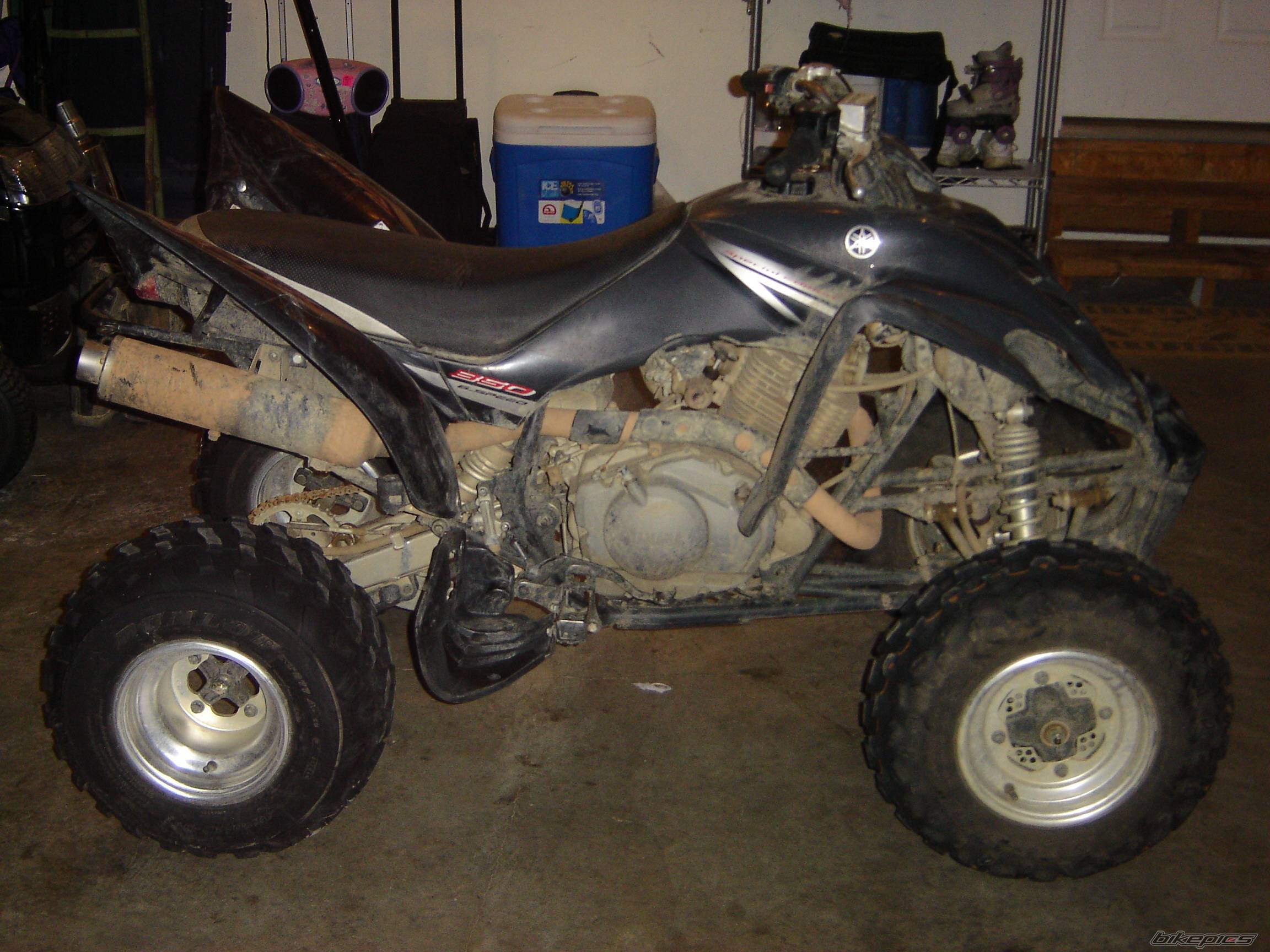 Photo 437618