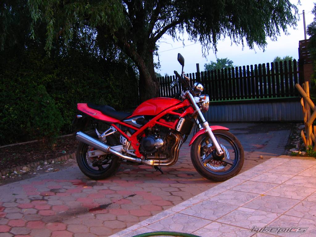 Bike Photo 437756