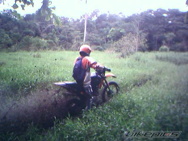 Photo 437793