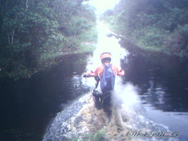Bike Photo 437794