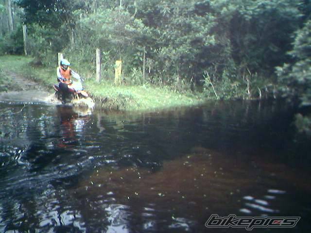 Photo 437801