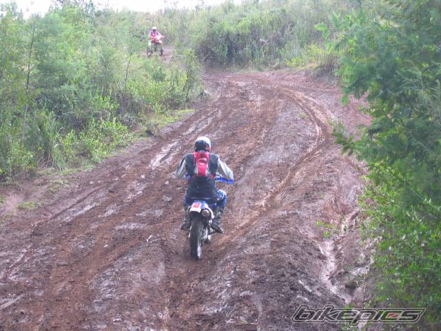 Photo 437817