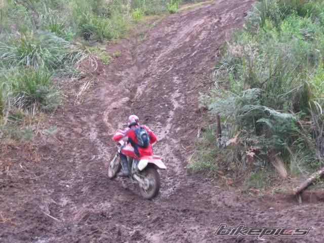 Photo 437819