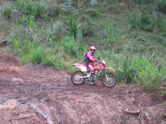 Photo 437821