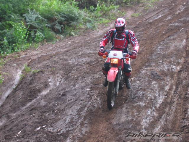 Photo 437823