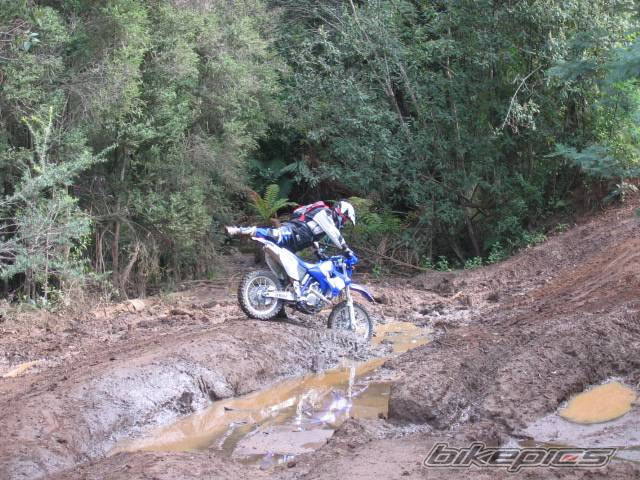 Bike Photo 437824