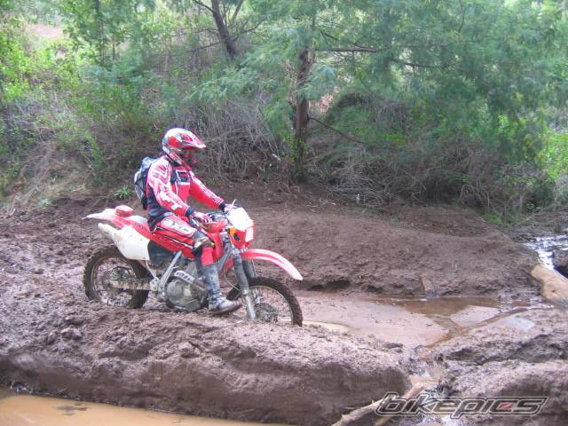 Photo 437836