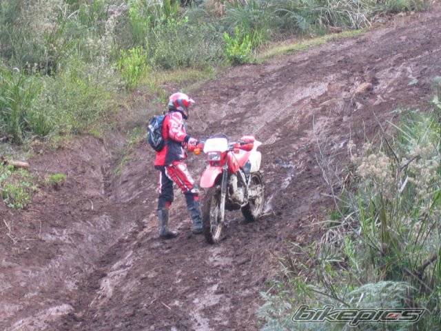 Photo 437837