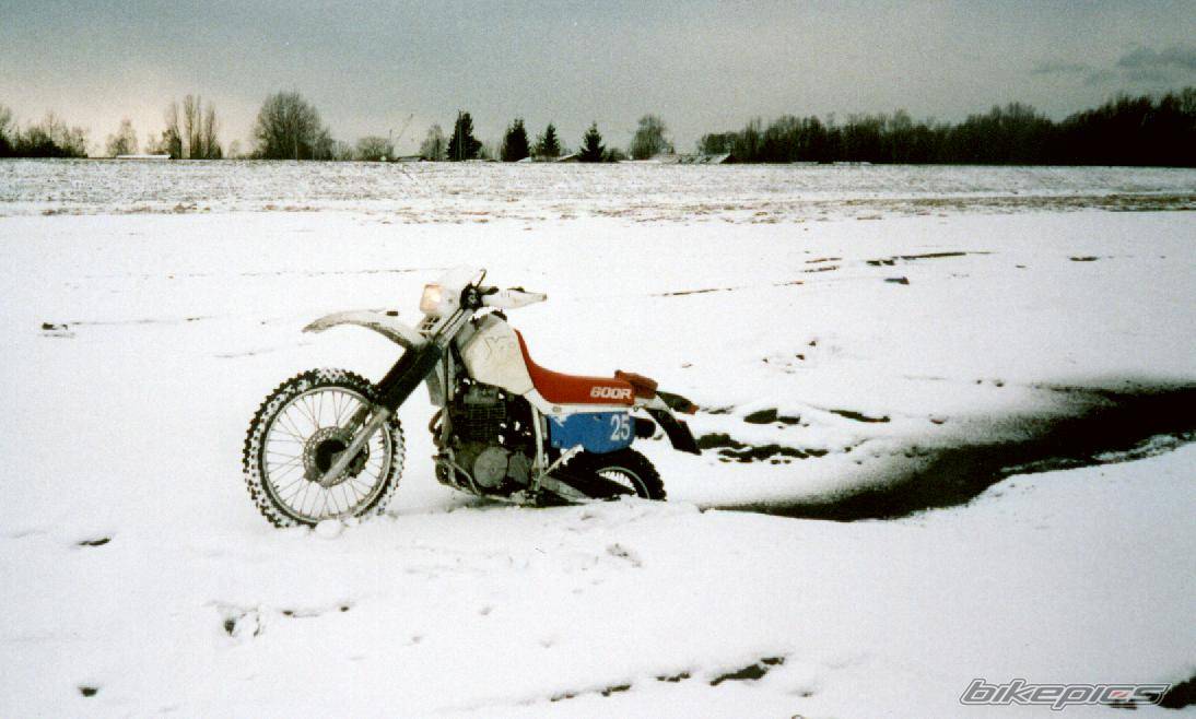 Bike Photo 43796