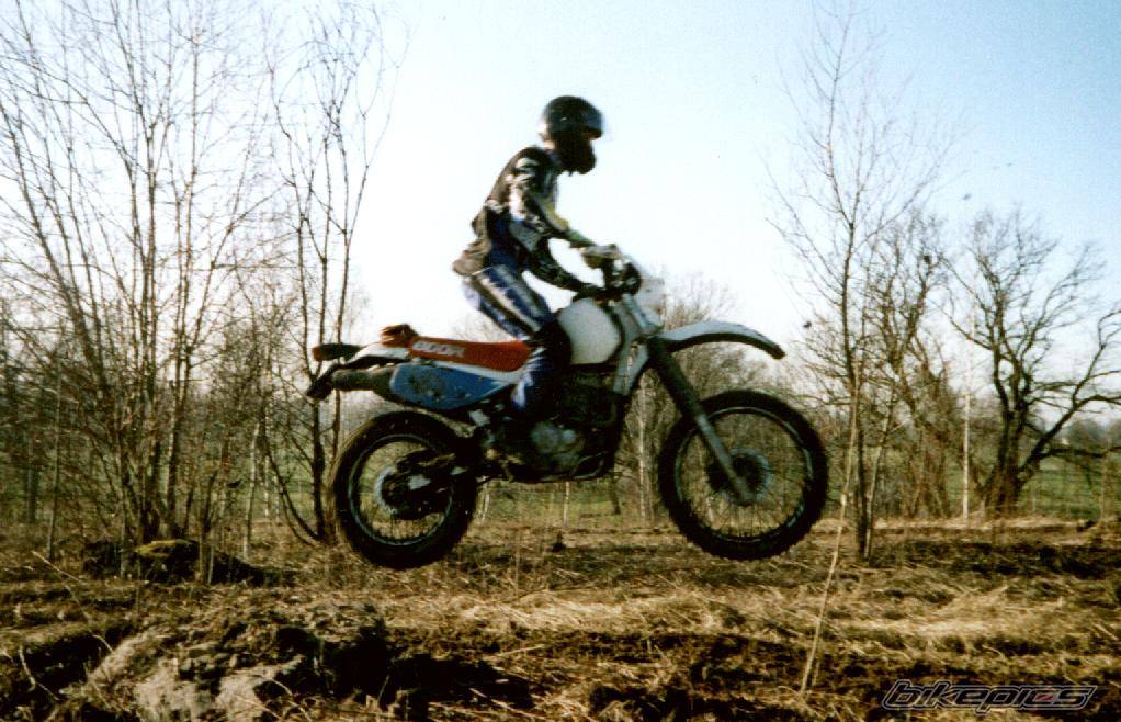 Bike Photo 43800